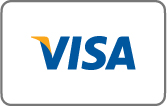 Visa icon