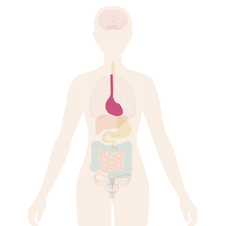 Menopause Symptoms Heart Palpitations My Menopause Centre