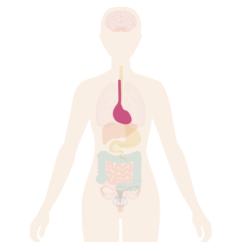 Menopause Symptoms Heart Palpitations My Menopause Centre