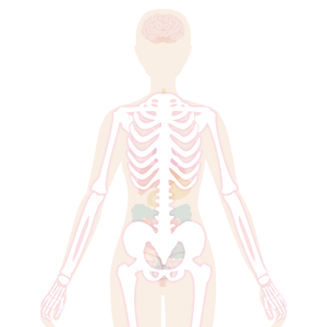 Image of the body highlighting muscle aches