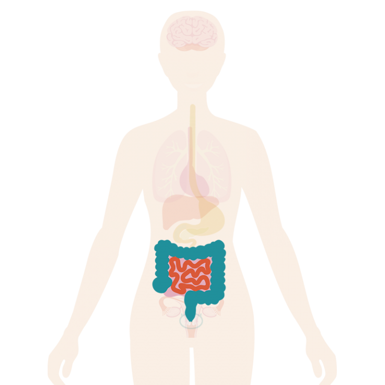 Menopause Symptoms Bowel Symptoms My Menopause Centre