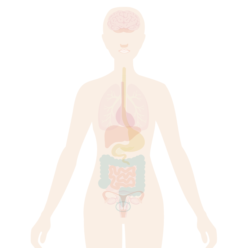 Menopause Symptoms Dry Mouth My Menopause Centre