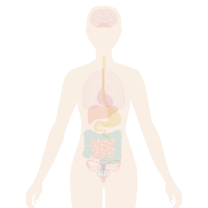 Image of the body with nails highlighted