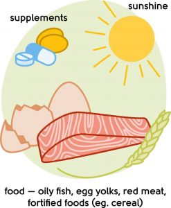 Sources of calcium and vitamin D