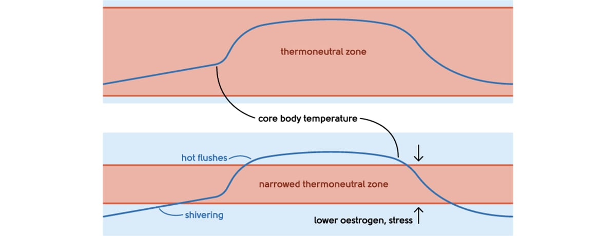 Hot Flushes - Thermoneutral zone