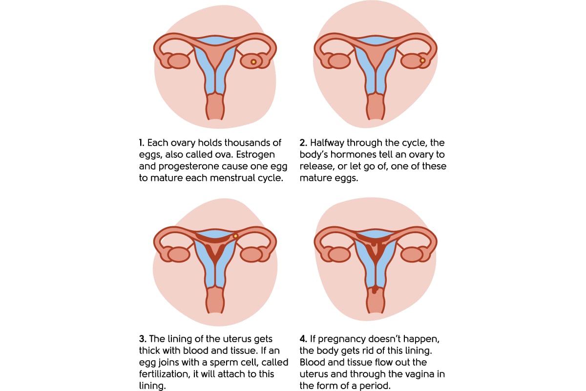 Can menstrual cramps change at different ages? - In Sync By Nua.