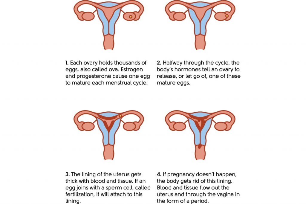 menstrual-cycle-keeps-getting-shorter