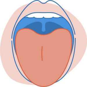 Menopause mouth