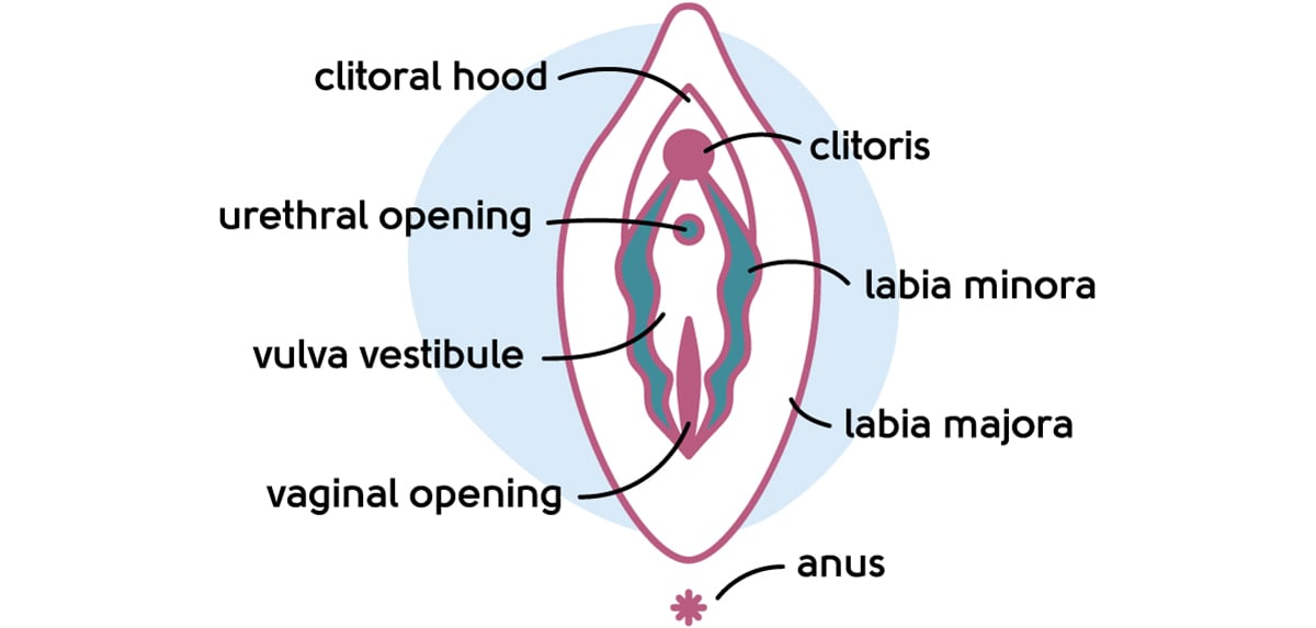 Menopause Symptoms, Loss of Sex Drive