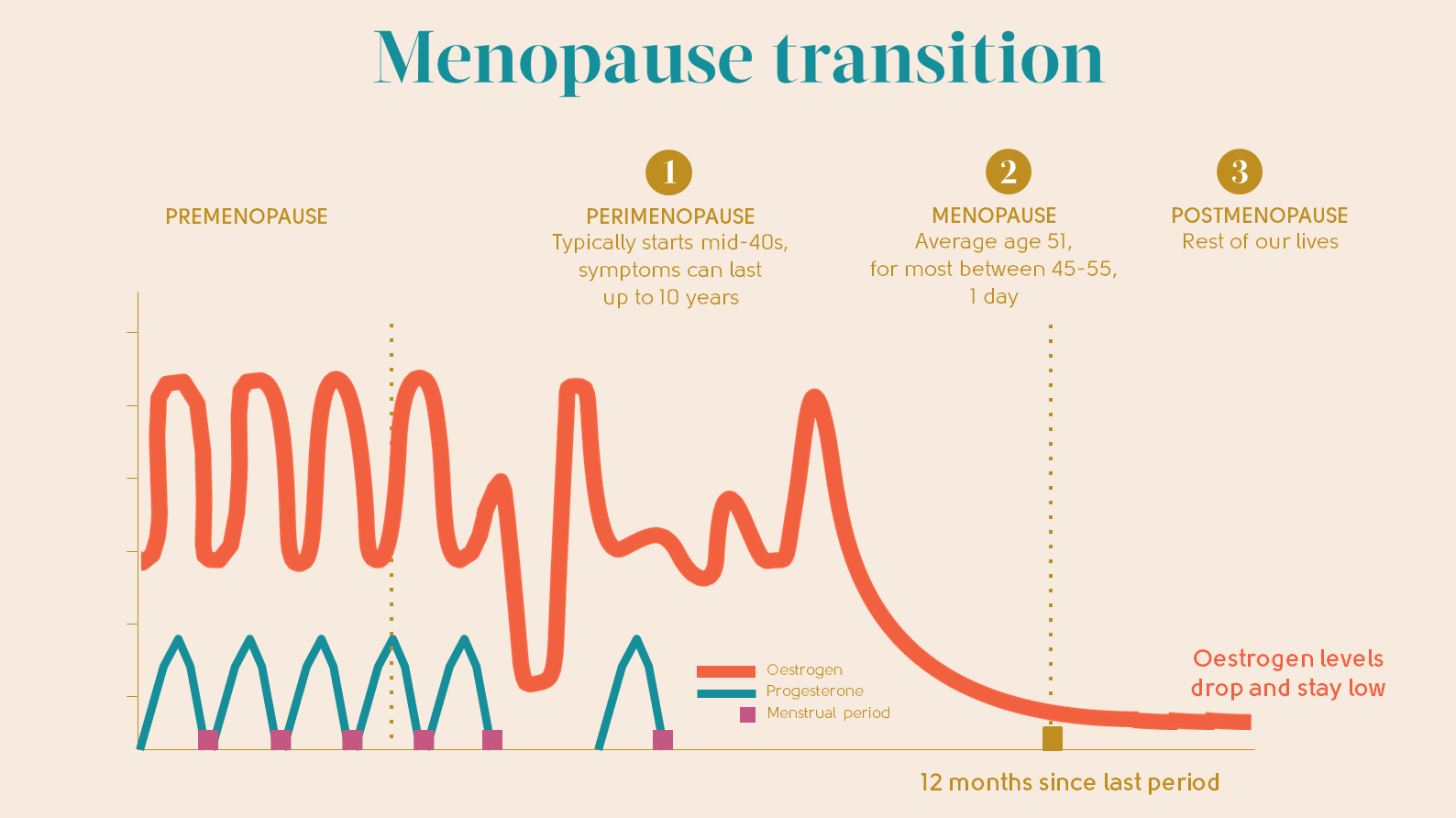Life period. Women's Plus MULTISTART for perimenopause, menopause and postmenopause от natural Factors.