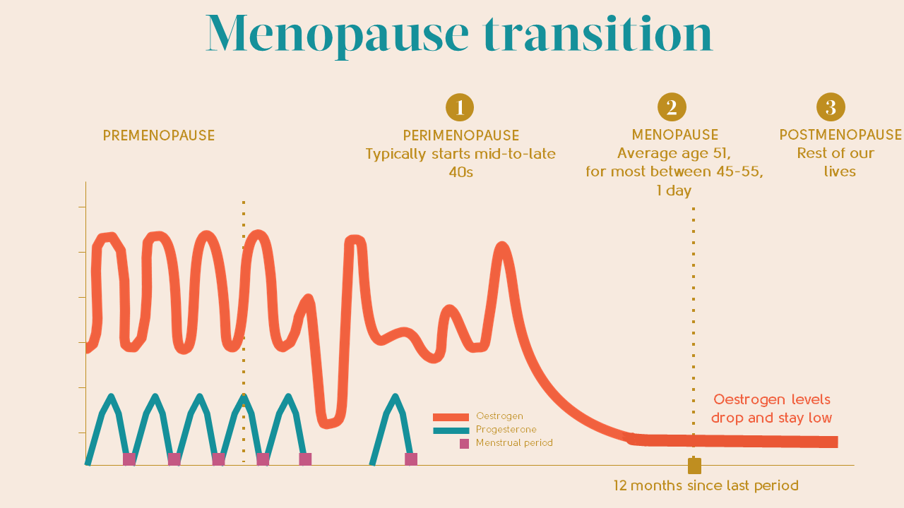 Understanding Perimenopause: Before, During And After – The Amino